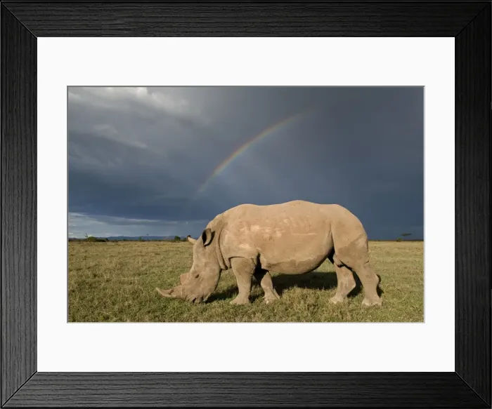 Framed Print : Picture No. 10878875 Framed Print : Picture No. 10878875