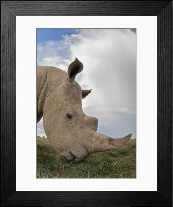 Framed Print : Picture No. 10878874 Framed Print : Picture No. 10878874