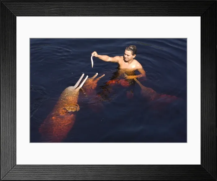 Framed Print : Picture No. 10878887 Framed Print : Picture No. 10878887