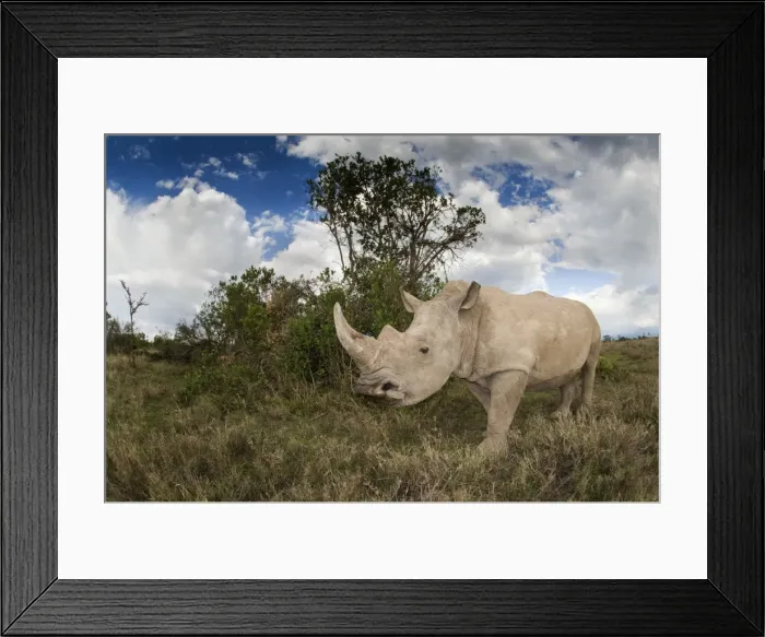 Framed Print : Picture No. 10878872 Framed Print : Picture No. 10878872