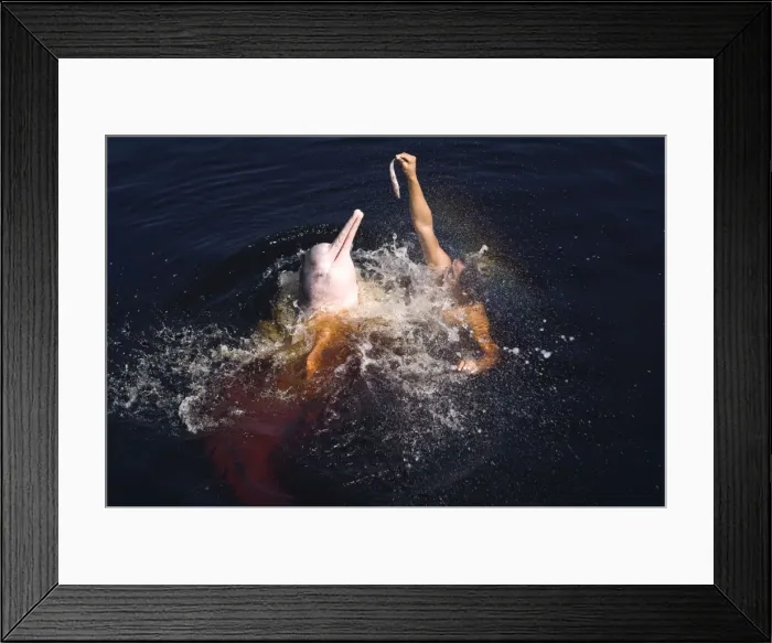Framed Print : Picture No. 10878888 Framed Print : Picture No. 10878888