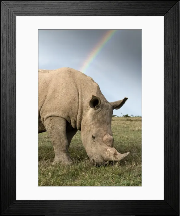 Framed Print : Picture No. 10878876 Framed Print : Picture No. 10878876