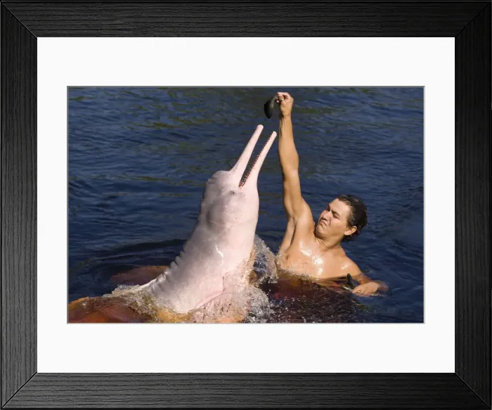 Framed Print : Picture No. 10878886 Framed Print : Picture No. 10878886