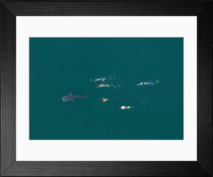 Framed Print : Picture No. 10878945 Framed Print : Picture No. 10878945