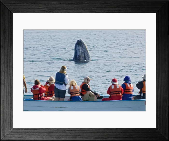 Framed Print : Picture No. 10878953 Framed Print : Picture No. 10878953