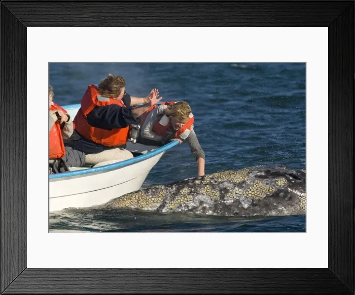 Framed Print : Picture No. 10878956 Framed Print : Picture No. 10878956