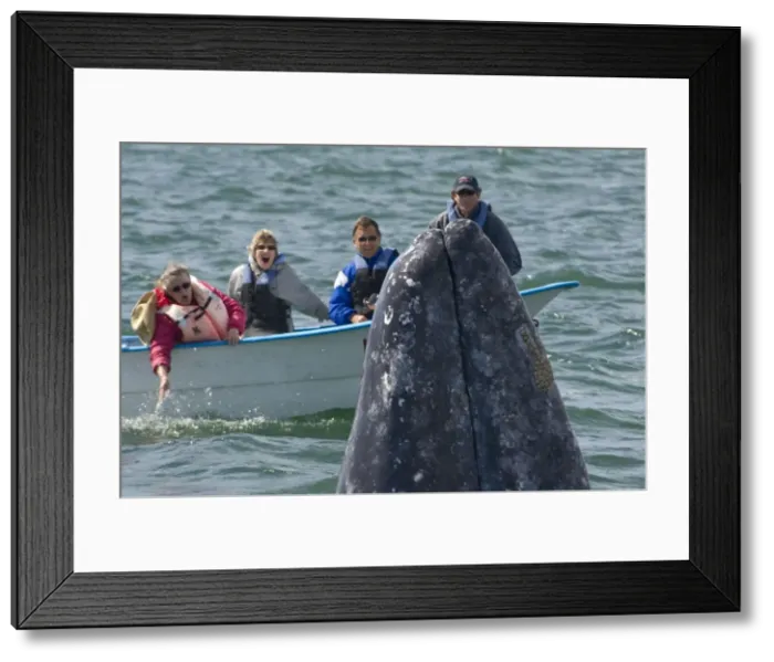 Framed Print : Picture No. 10878963