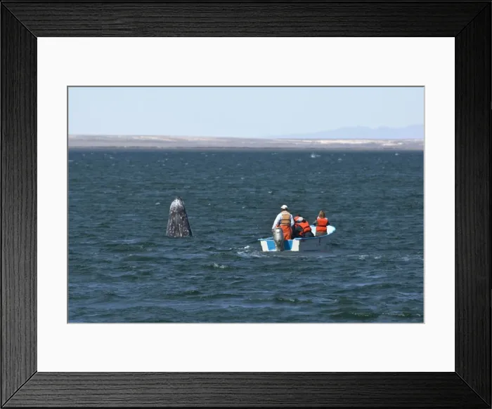 Framed Print : Picture No. 10878965 Framed Print : Picture No. 10878965