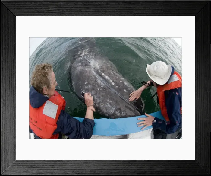 Framed Print : Picture No. 10878973