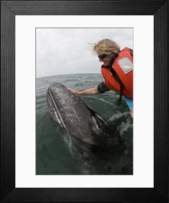 Framed Print : Picture No. 10878972 Framed Print : Picture No. 10878972