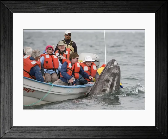 Framed Print : Picture No. 10878979