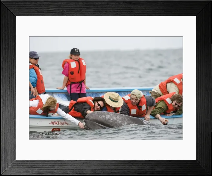 Framed Print : Picture No. 10878980
