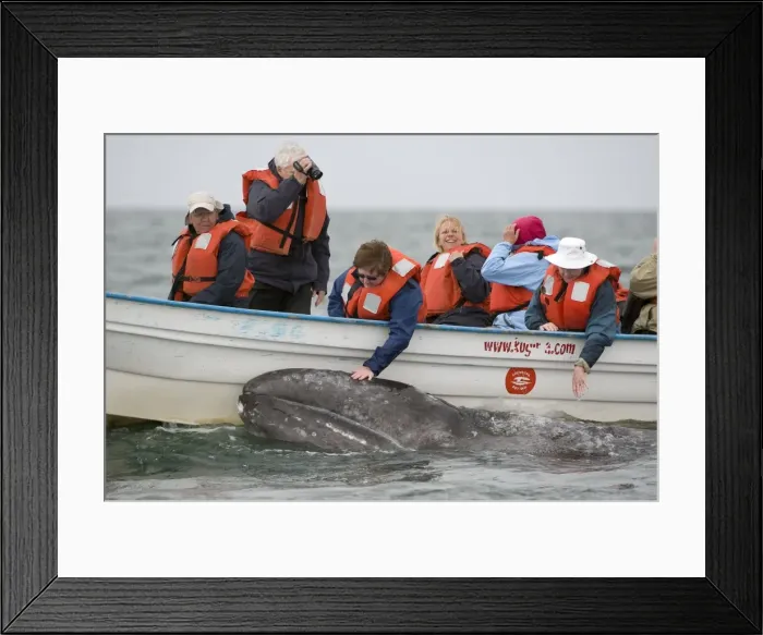 Framed Print : Picture No. 10878978 Framed Print : Picture No. 10878978