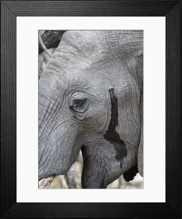 Framed Print : Picture No. 10879156 Framed Print : Picture No. 10879156