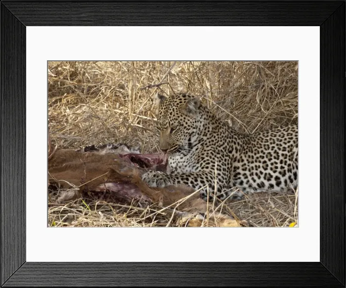 Framed Print : Picture No. 10879184 Framed Print : Picture No. 10879184