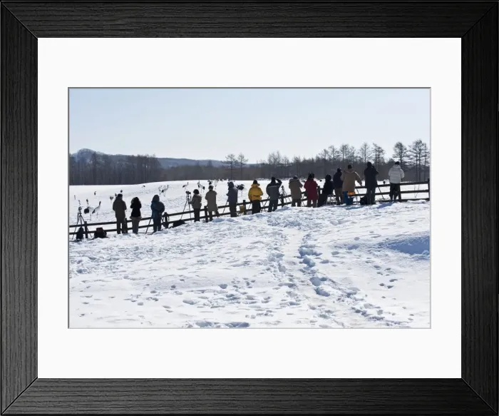 Framed Print : Picture No. 10879215 Framed Print : Picture No. 10879215