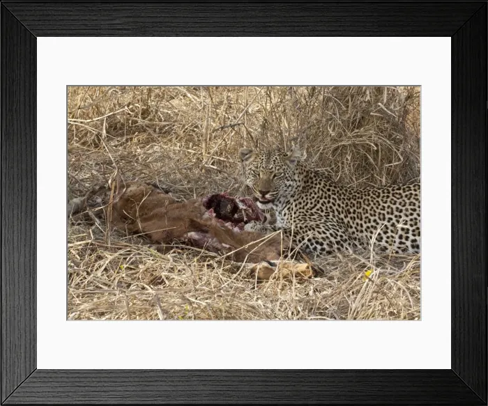Framed Print : Picture No. 10879185