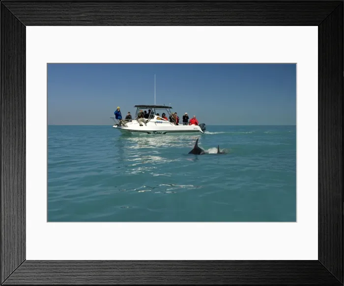 Framed Print : Picture No. 10879312