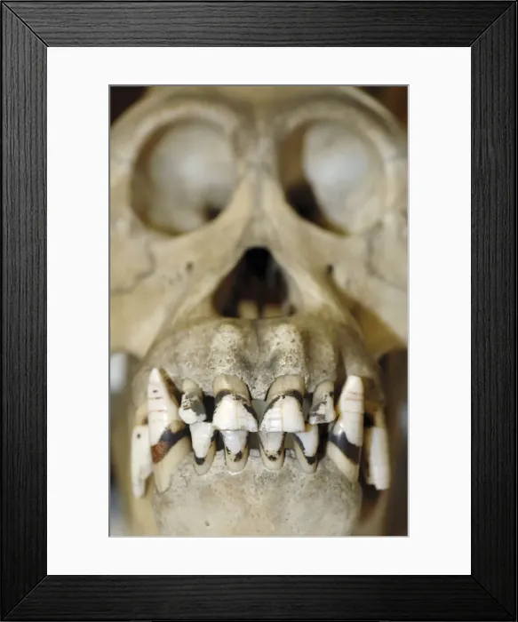 Framed Print : Picture No. 10880790 Framed Print : Picture No. 10880790