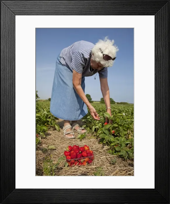 Framed Print : Picture No. 10880704 Framed Print : Picture No. 10880704