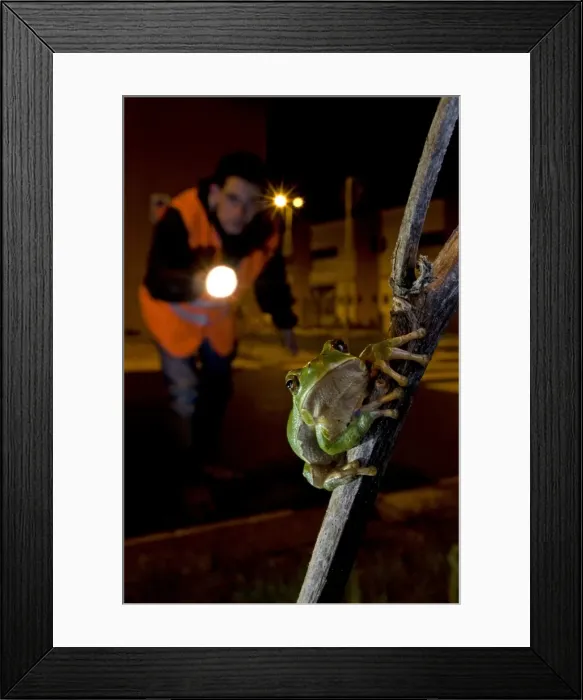 Framed Print : Picture No. 10880834 Framed Print : Picture No. 10880834