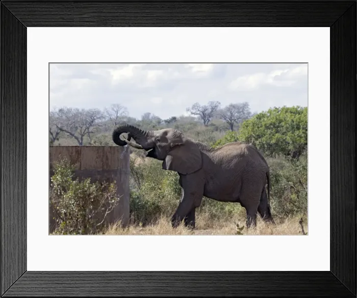 Framed Print : Picture No. 10881058 Framed Print : Picture No. 10881058
