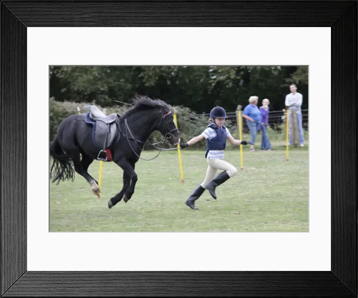 Framed Print : Picture No. 10881037 Framed Print : Picture No. 10881037