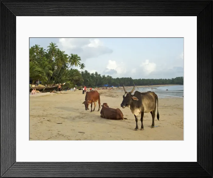 Framed Print : Picture No. 10881075 Framed Print : Picture No. 10881075