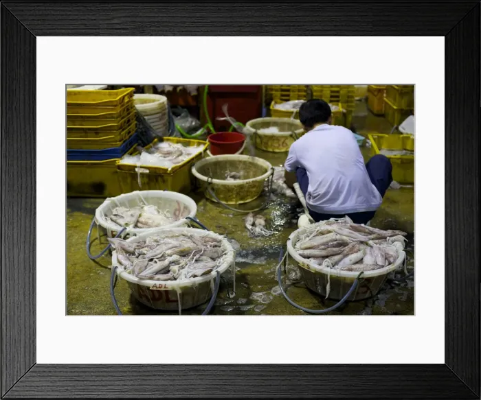 Framed Print : Picture No. 10881076 Framed Print : Picture No. 10881076