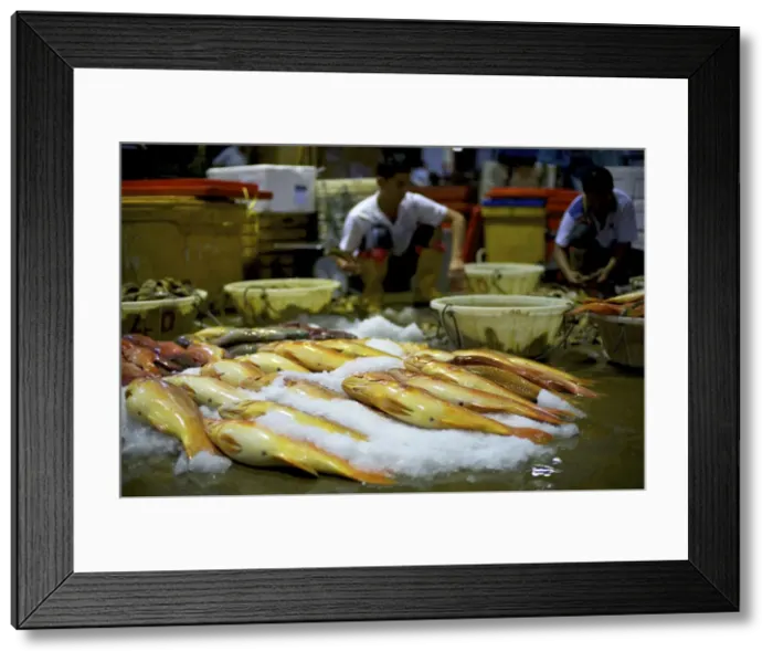 Framed Print : Picture No. 10881091 Framed Print : Picture No. 10881091