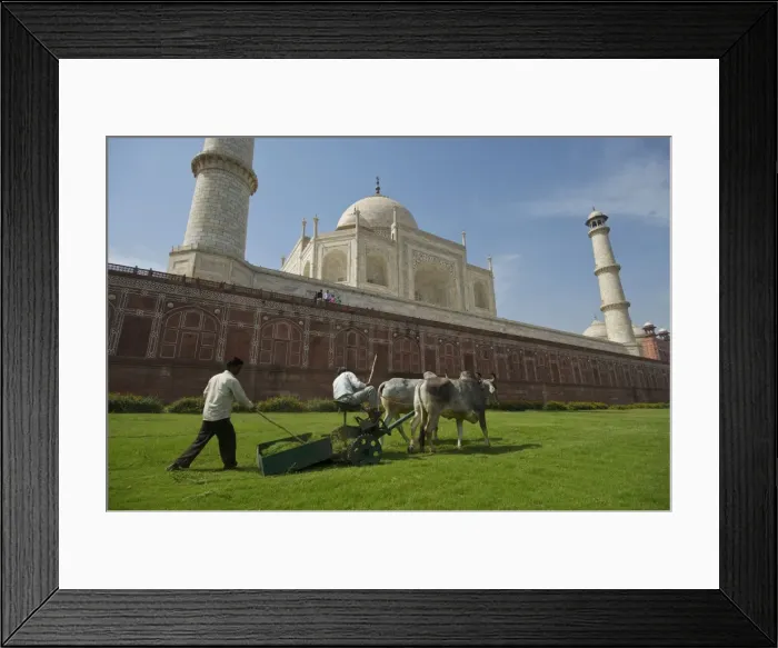 Framed Print : Picture No. 10881077 Framed Print : Picture No. 10881077