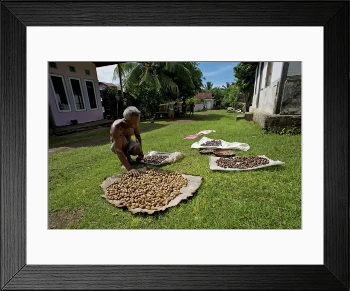 Framed Print : Picture No. 10881103 Framed Print : Picture No. 10881103