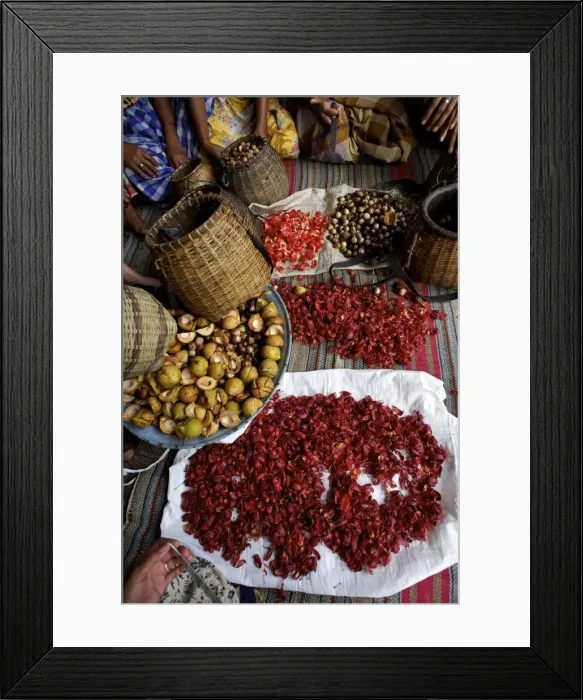 Framed Print : Picture No. 10881124 Framed Print : Picture No. 10881124