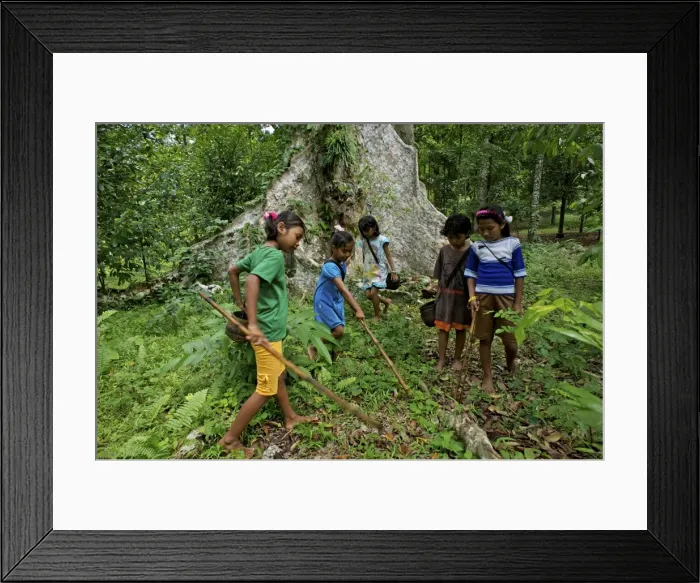 Framed Print : Picture No. 10881117 Framed Print : Picture No. 10881117