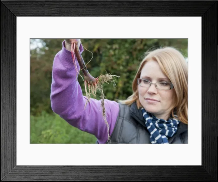 Framed Print : Picture No. 10881194 Framed Print : Picture No. 10881194