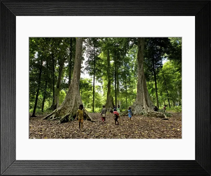 Framed Print : Picture No. 10881116 Framed Print : Picture No. 10881116