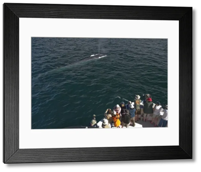 Framed Print : Picture No. 10881244 Framed Print : Picture No. 10881244