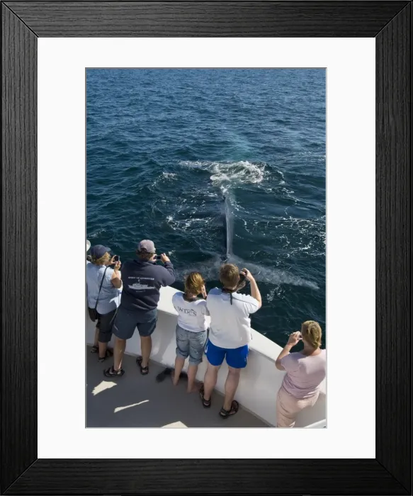 Framed Print : Picture No. 10881251
