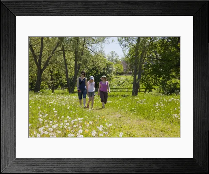 Framed Print : Picture No. 10881166 Framed Print : Picture No. 10881166