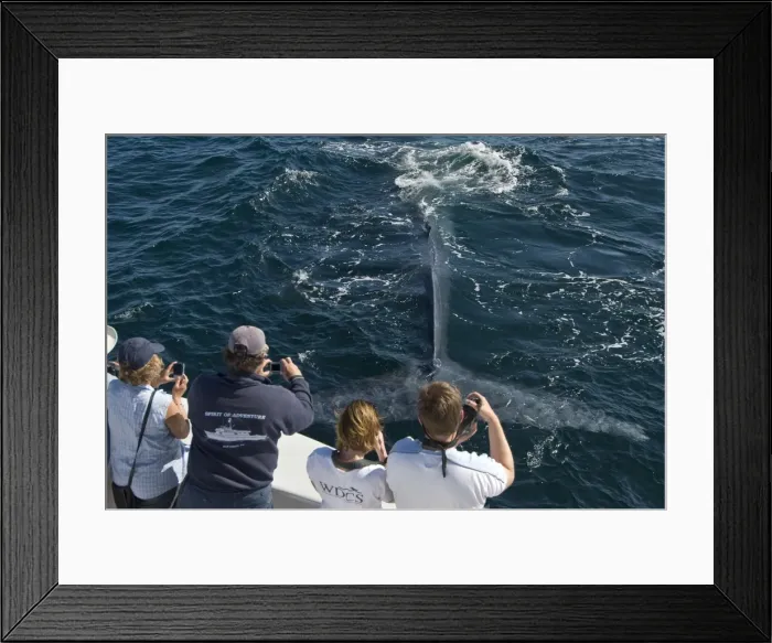 Framed Print : Picture No. 10881252