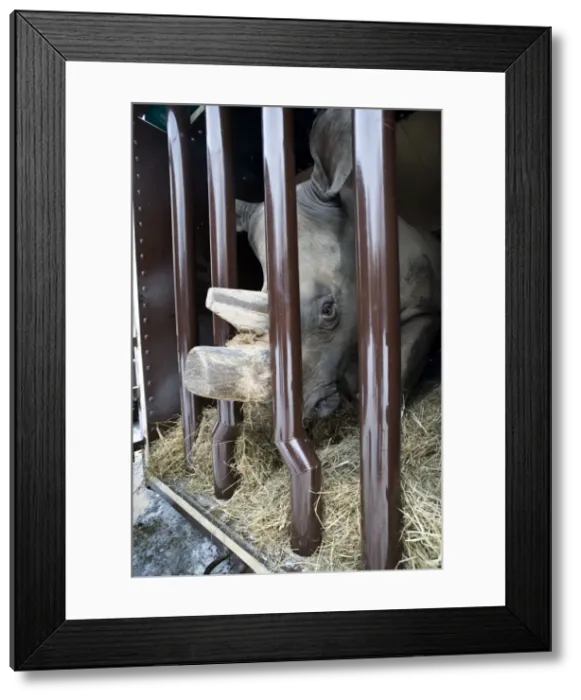 Framed Print : Picture No. 10881310
