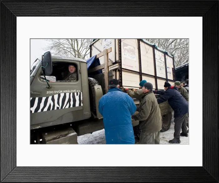 Framed Print : Picture No. 10881309 Framed Print : Picture No. 10881309