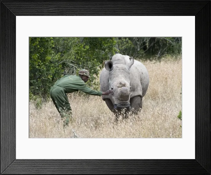 Framed Print : Picture No. 10881319 Framed Print : Picture No. 10881319