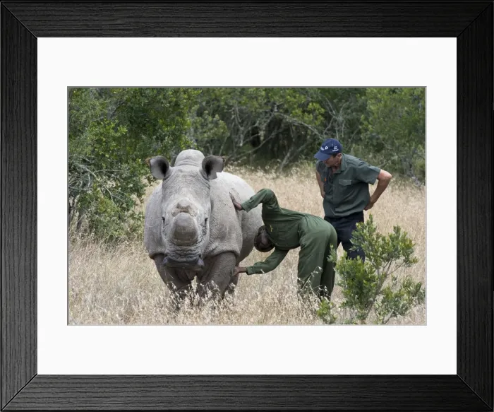 Framed Print : Picture No. 10881320
