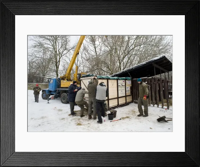 Framed Print : Picture No. 10881308 Framed Print : Picture No. 10881308