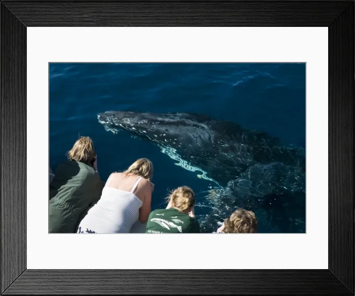 Framed Print : Picture No. 10881359 Framed Print : Picture No. 10881359