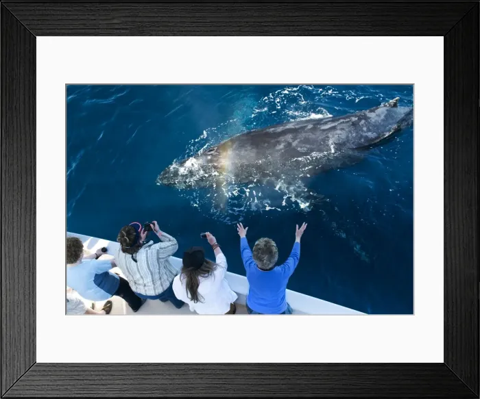 Framed Print : Picture No. 10881360 Framed Print : Picture No. 10881360