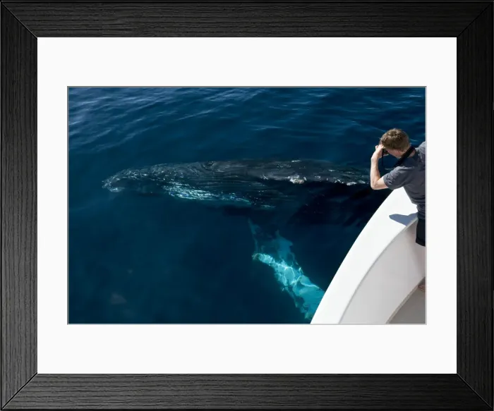 Framed Print : Picture No. 10881361 Framed Print : Picture No. 10881361