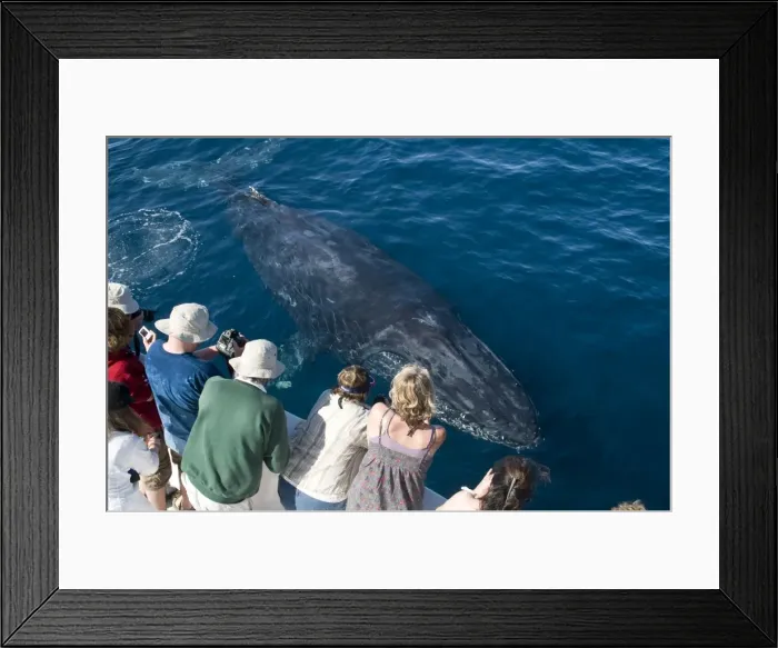 Framed Print : Picture No. 10881362 Framed Print : Picture No. 10881362
