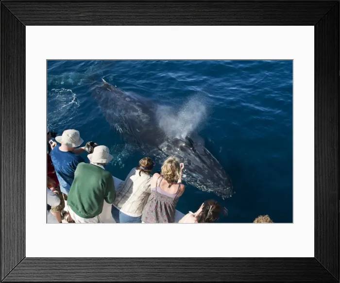 Framed Print : Picture No. 10881383 Framed Print : Picture No. 10881383
